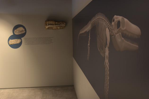 mosasaurus